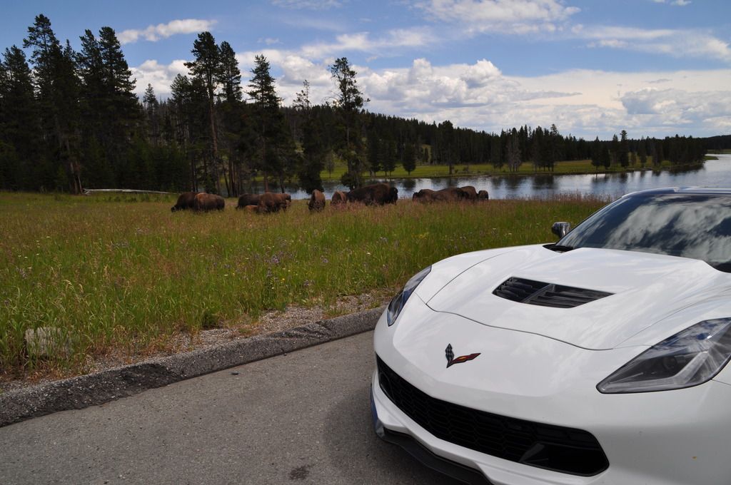 Yellowstone Roadtrip w/pics CorvetteForum Chevrolet Corvette Forum